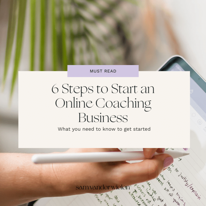 6 Steps to Start an Online Coaching Business | Sam Vander Wielen