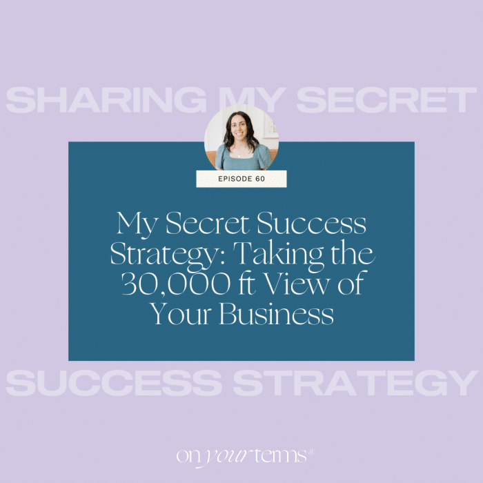 lavender background with text overlay "My Secret Success Strategy: Taking the 30,000 ft View of Your Business"