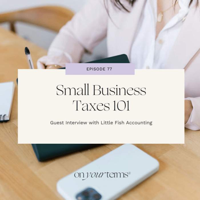 woman writing in notebook with text overlay "Small Business Taxes 101 Guest Interview with Little Fish Accounting"
