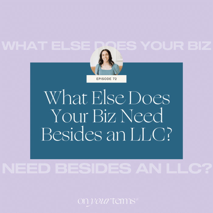 lavender background with text overlay "What Else Does Your Biz Need Besides an LLC?"