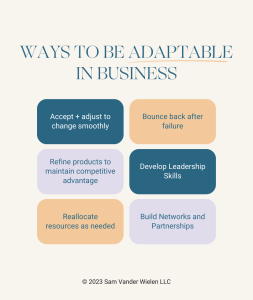 Why Is Adaptability Important In Business | Sam Vander Wielen