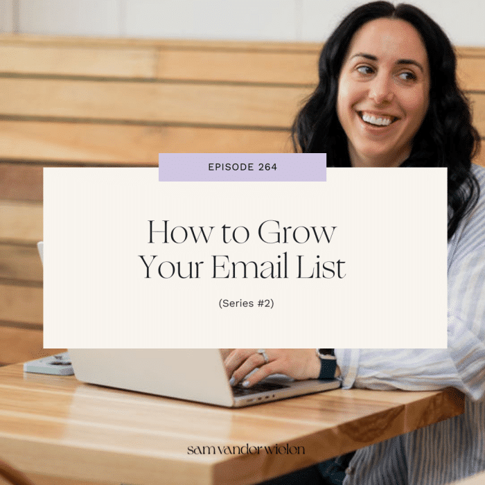 How to Grow Your Email List (series #2)